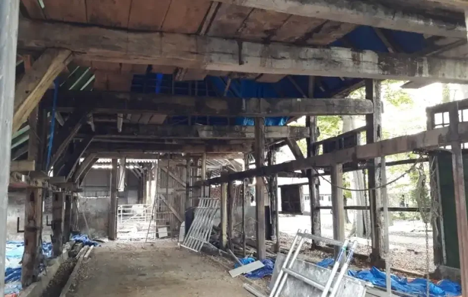 PHOTO-2018-11-16-18-44-27